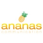 Ananas communication