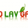 Auto lav green