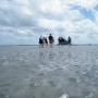 Guide de la baie du mont saint michel