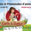 Soins et promenades d'animaux