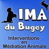 Interventions en Médiation Animale